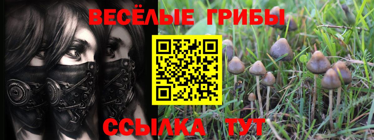Галлюциногенные грибы GOLDEN TEACHER Губкинский