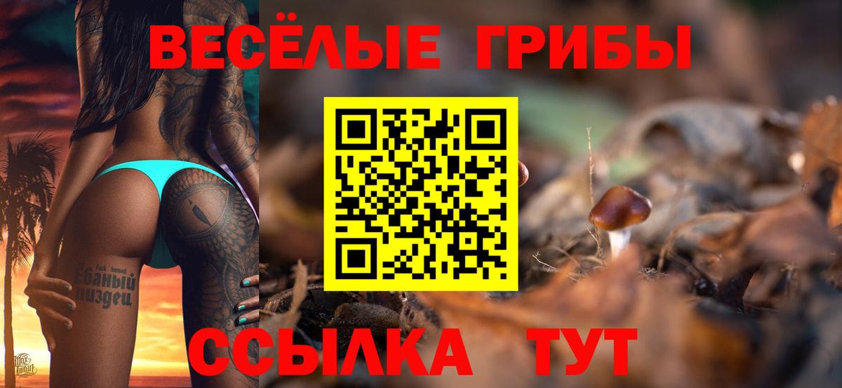 Губкинский  Галлюциногенные грибы Psilocybe  Вход с VPN 